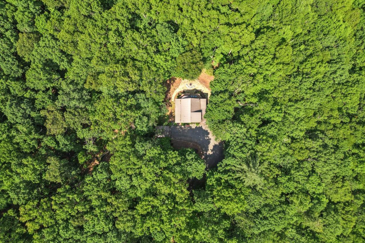 Bear Naked Bungalow Blue Ridge Exterior photo